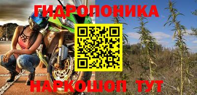 спиды Бийск