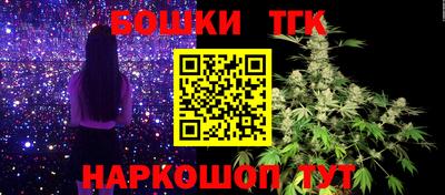 спиды Бийск