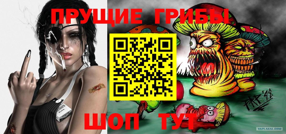 Галлюциногенные грибы мухоморы Гусев